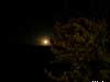 full moon